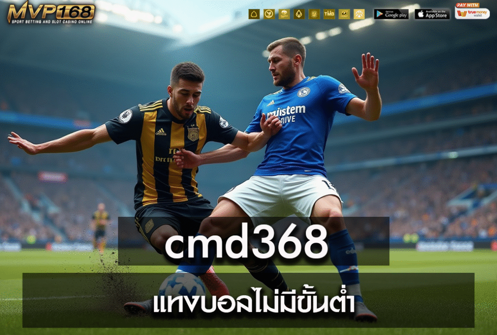 cmd368